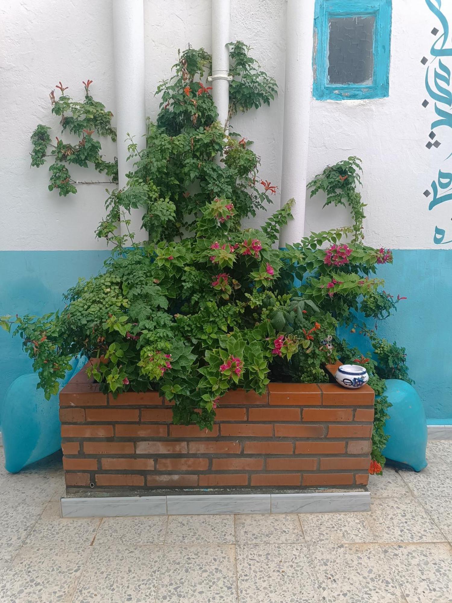 Dar Hkaiem Otel Hammam Sousse Dış mekan fotoğraf